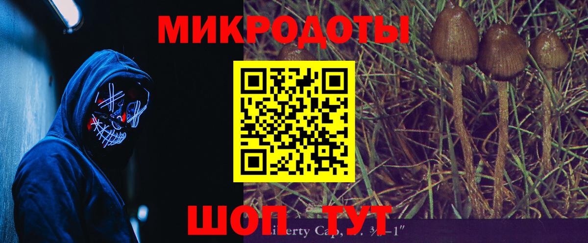 Псилоцибиновые грибы мицелий  наркота  Владивосток  Вход с VPN 